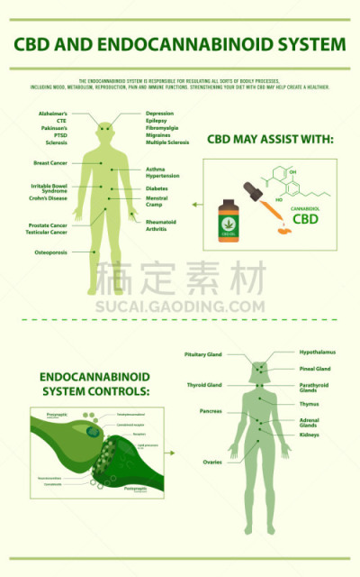 信息图表,垂直画幅,顺序,新陈代谢,植物,香熏油,心血管系统,人类消化系统,痛苦