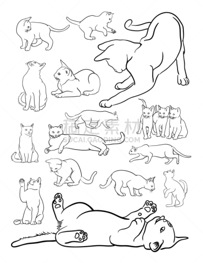 动物,线条画,猫,可爱的,纯种犬,哺乳纲,小的,自然美,品牌名称,坐