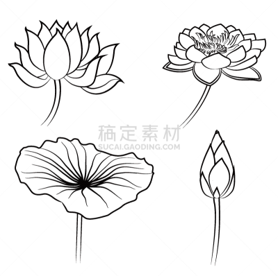 式样,天气,睡莲,华丽的,请柬,植物群,池塘,装饰物,花,剪影