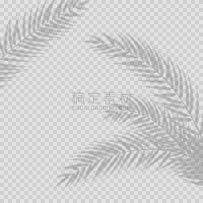 图像特效,多层效果,阴影,透明,自然,运动模糊,概念,中午,照相写实主义,装饰