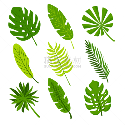 棕榈叶,鸡尾酒,泰国,椰子,复古风格,枝繁叶茂,植物,巴西,热带树,雨林