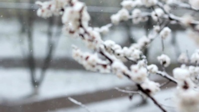春城公园坏天气
