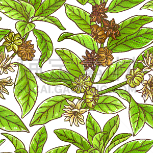 茴芹,枝,式样,清新,香料,食品,萨姆布卡酒,调味品,星茴芹,花