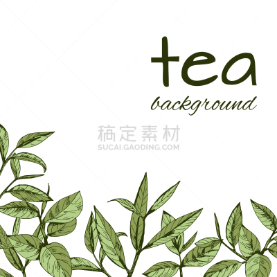 品牌名称,绿茶,分离着色,白色,有机食品,斯里兰卡,自然,草本,清新,食品