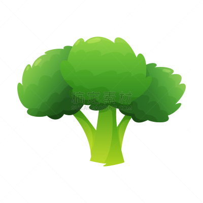 蔬菜,清新,西兰花,概念,健康食物,农业,菜单,食品,维生素,烹调