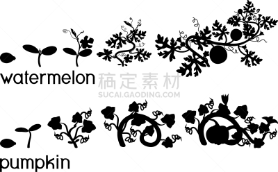 西瓜,植物,水果,新生活,南瓜,滚珠,剪影,生长,发展,盛开