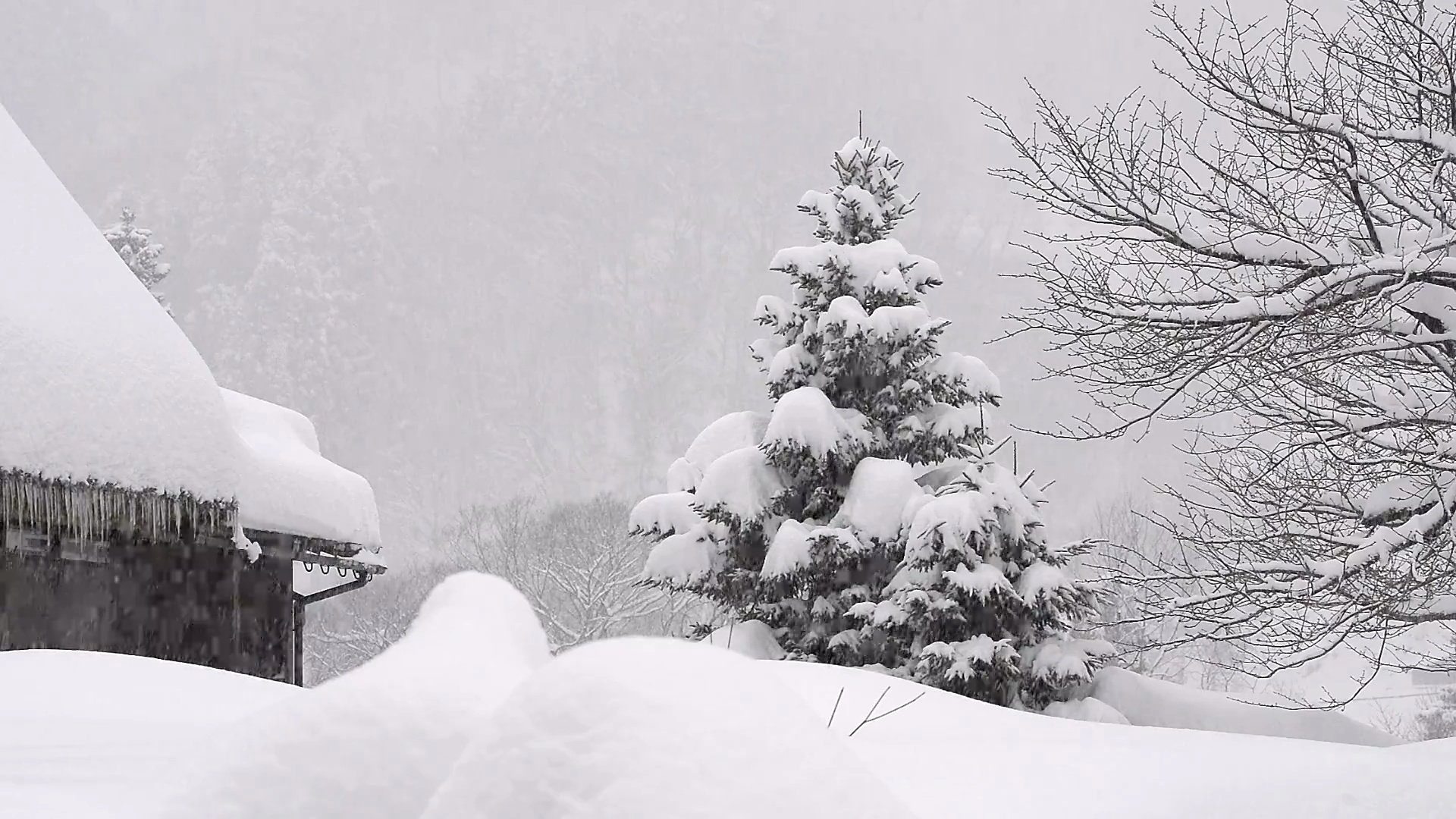 日本富山的冬季景观