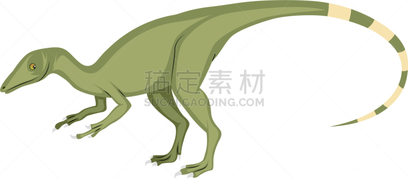 白色背景,食草动物,动物主题,野生动物,已灭绝生物,侏罗纪,蜥蜴,小的,动物,爬行纲