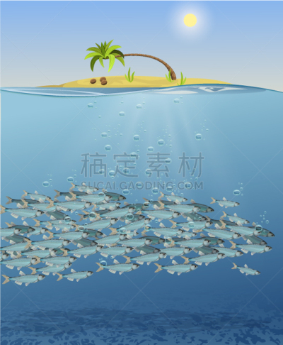 海洋,地形,草,海星,动物,礁石,夏天,天空,水下,在下面