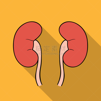 分离着色,白色,人,肾脏,计算机图标,扁平化设计,生物学,健康保健,生病,设计