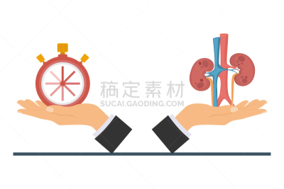 肾脏,生物学,有序,健康保健,背景分离,药,慈善捐赠,移植手术,模板