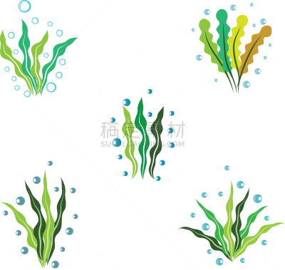 seaweed logo template icon