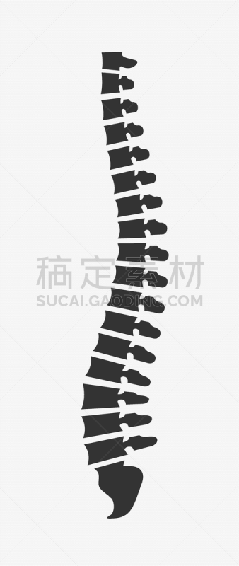 脊柱,侧面视角,白色背景,病历卡,生物学,有序,健康保健,姿态,背景分离,药