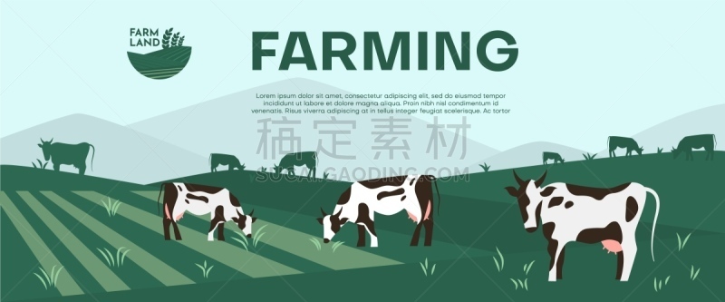 草地,商务,母牛,农业,哺乳纲,草,牛,头