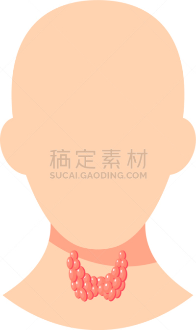 甲状腺,生物学,健康保健,分泌细胞,女人,图表,人类腺体,甲状腺机能减退,剪影