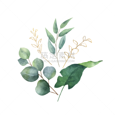 鸡尾酒,叶子,水彩画,绿卡情缘,华丽的,请柬,周年纪念,清新,野生动物,排列