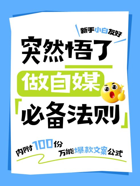 自媒体起号攻略分享大字小红书封面预览效果