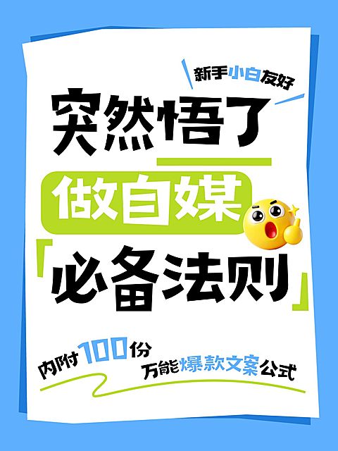 自媒体起号攻略分享大字小红书封面