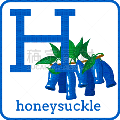 可爱的,字母,水果,忍冬,平衡折角灯,英文字母H,单词,清新,字母表次序,信函