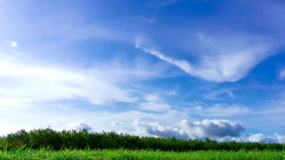  /U 到 延时 绿地夏季景观。