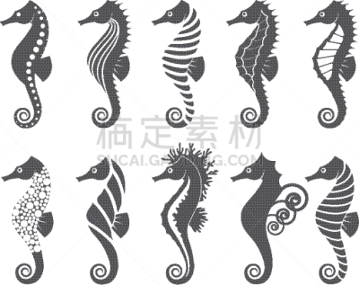 海马,分离着色,生物学,自然,海洋,船,布置,收集,装饰