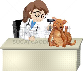 veterinarian with sick animal