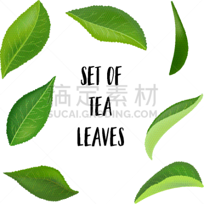 白色,分离着色,水滴,茶叶,茶,饮料,湿,清新,食品,熟的