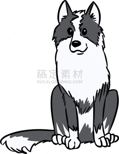 可爱的,莱卡犬,狗,家畜,西伯利亚哈士奇犬,纯种犬,外套,摆拍,哺乳纲,服从