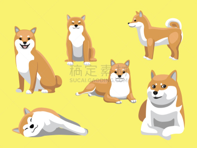可爱的,狗,日本柴犬,卡通,矢量,注视镜头,纯种犬,背景分离,哺乳纲,动物