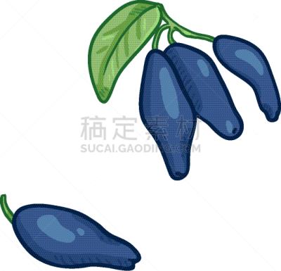 cartoon honeysuckle berries on branch