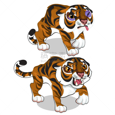 瘀伤,虎,分离着色,自然,条纹,非洲,图像,猫,巨大的,进攻
