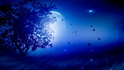 寂静之夜