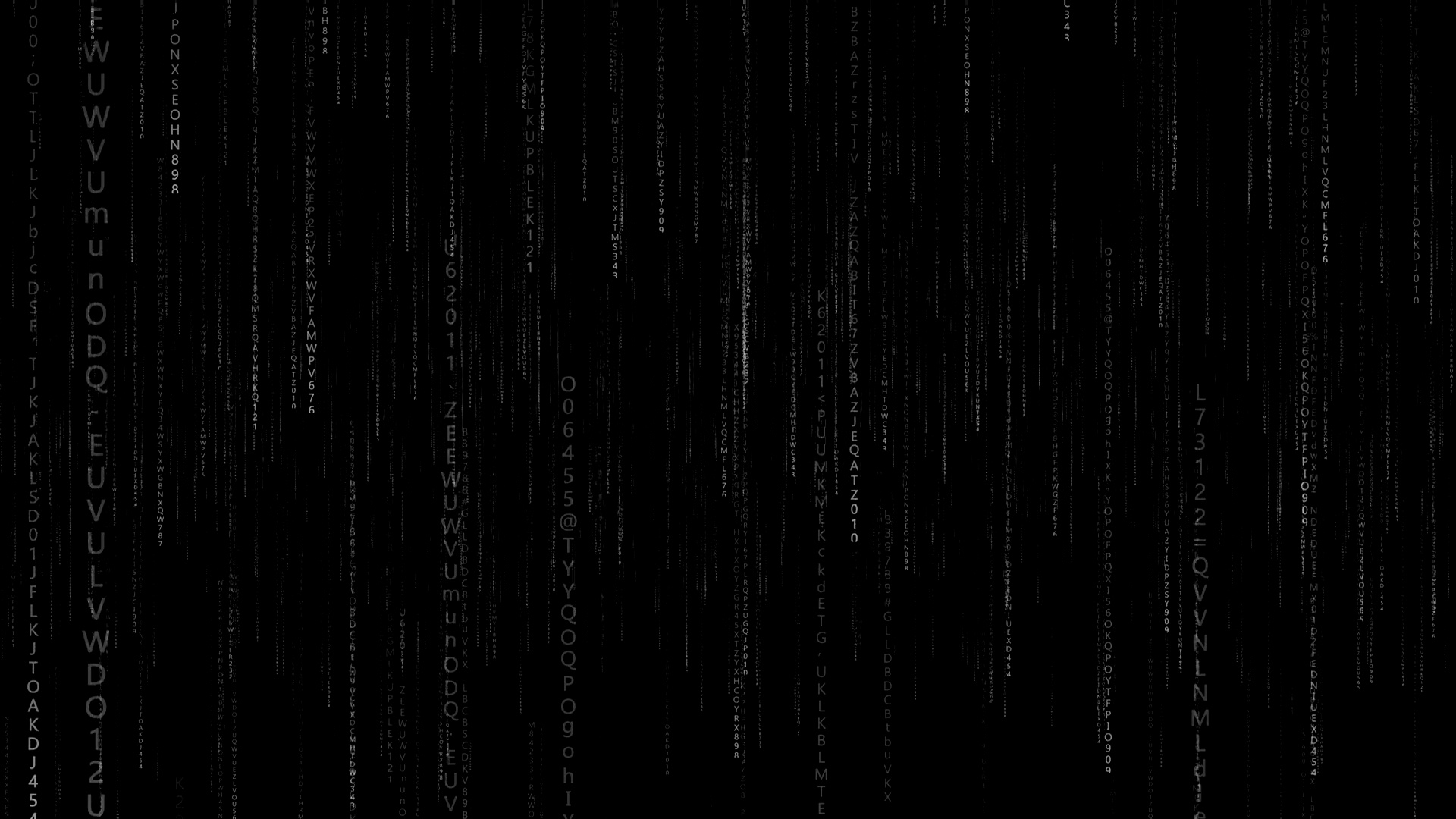 数字接口