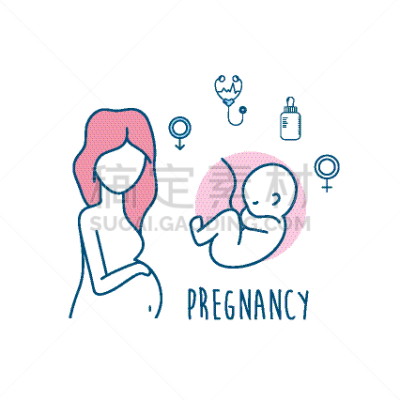 女人,健康保健,卵子,婴儿,卵巢,脐带,生物学,图像,矢量
