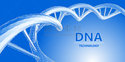 生物学,分子,脱氧核糖核酸,绘画插图,科学,建筑结构,格子,矢量,概念,进展