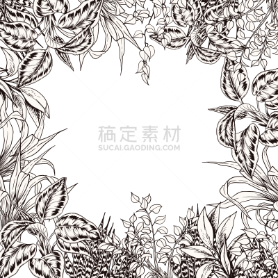 边框,吊竹梅,正方形,叶子,鸡尾酒,周年纪念,请柬,贺卡,背景分离,法国