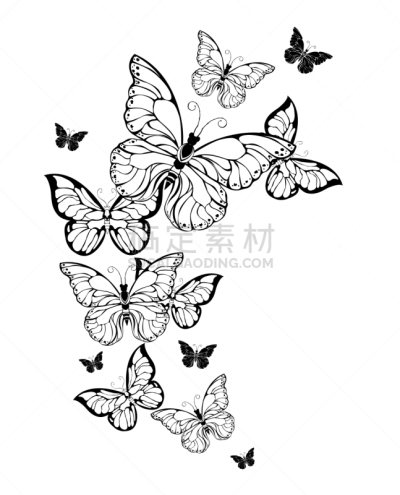 轮廓线画,蝴蝶,秘密,华丽的,背景分离,华贵,热带气候,树荫,涂料,旋风