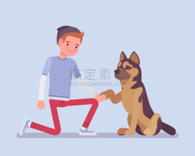 狗,宠物,男孩,训服,可爱的,坐,行动,相伴,爱