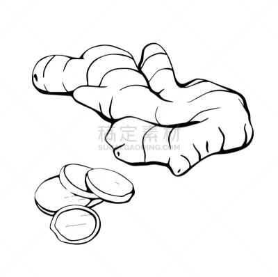 生姜,乱画,绘画插图,商品,免疫系统,矢量,健康食物,提举,高雅,白色背景