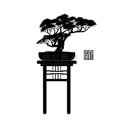 盆景,传统,复叶,蔬菜,自然美,树,剪影