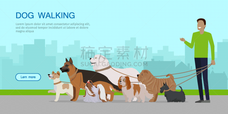 男人,狗,小狗,金毛寻回犬,纯种犬,愉悦,多样,步行,收集