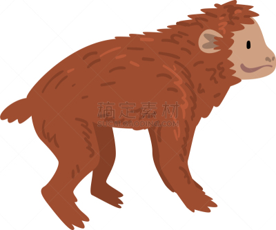 猴子,猿,动物,起源,生物学,人属,灵长目,哺乳纲,进展