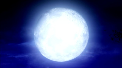 满月蝙蝠