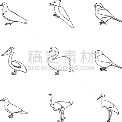 轮廓,巨大的,鸟类,计算机图标,分离着色,图像,天鹅,鹳,孔雀,收集