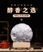 模板缩略图