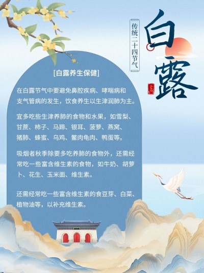 白露节气科普中式感套装小红书配图aigc