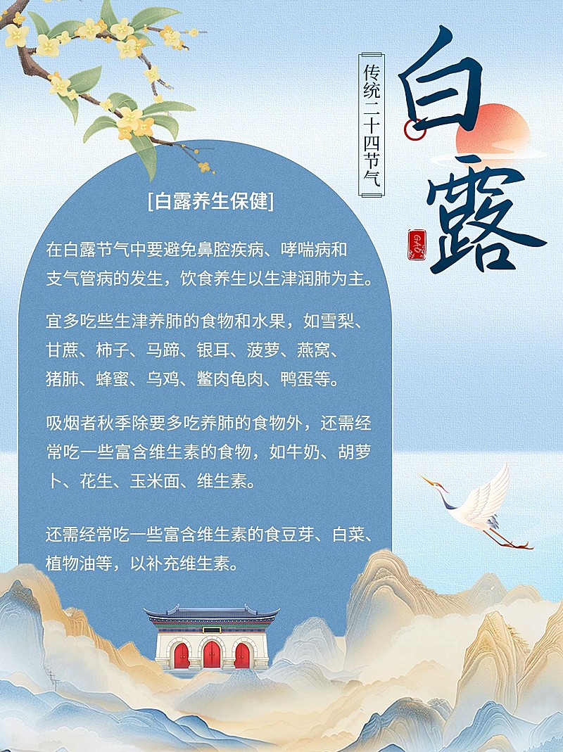 白露节气科普中式感套装小红书配图aigc