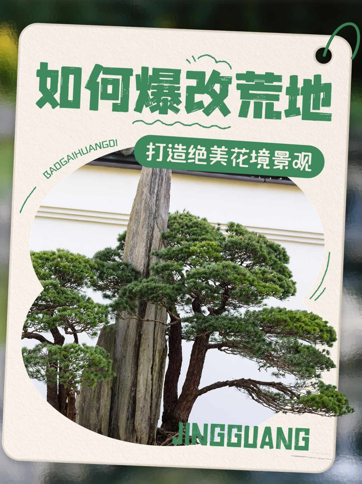 园林景观攻略指南小红书封面