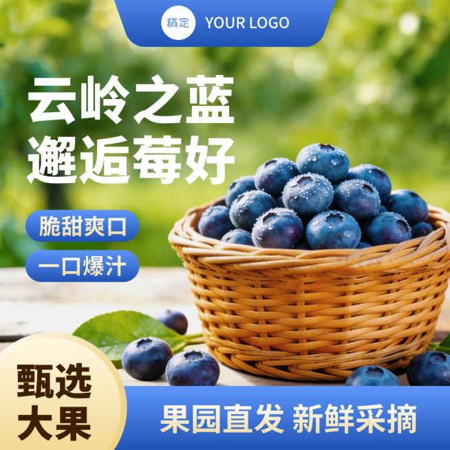 蓝莓生鲜水果电商零售主图预览效果