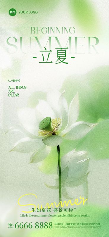 立夏实景感光影莲花近景背景全屏手机海报预览效果